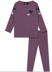 Butterfly collection